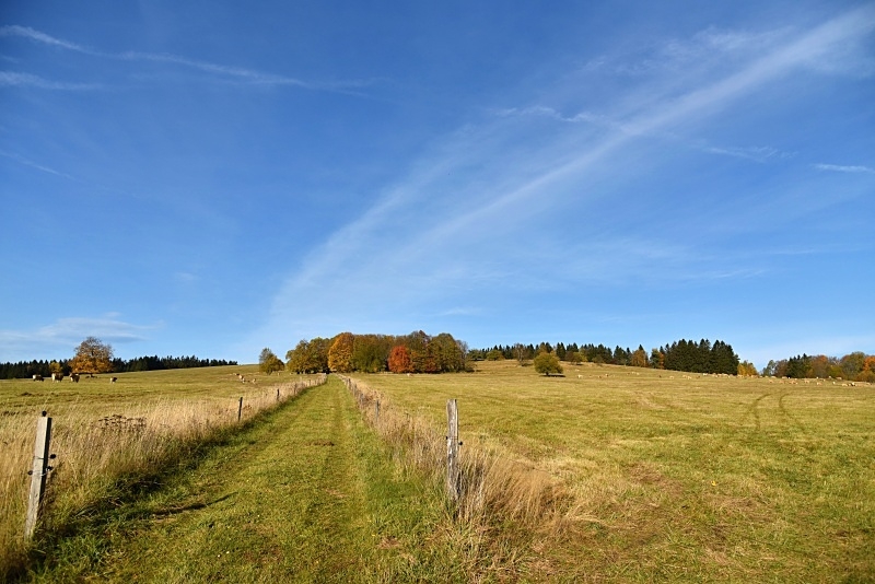 Jedlina, hřbitov